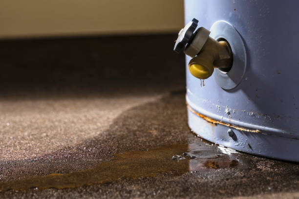 Best Ceiling water damage repair  in Belleview, FL