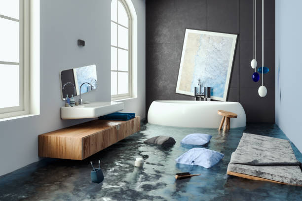 Best 24/7 water damage repair  in Belleview, FL