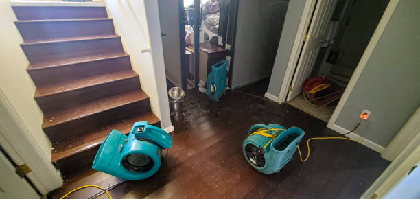 Best Water damage restoration near me  in Belleview, FL