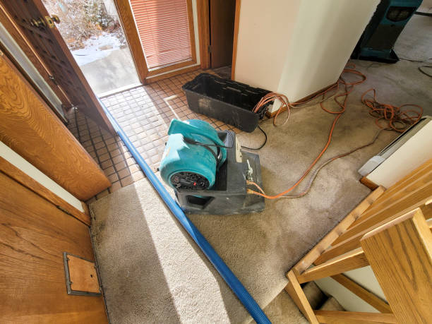 Professional Water damage restoration in Belleview, FL