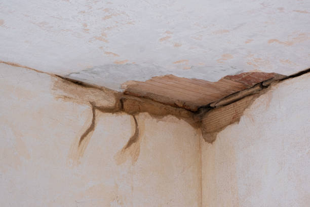 Best Fire Damage Restoration  in Belleview, FL