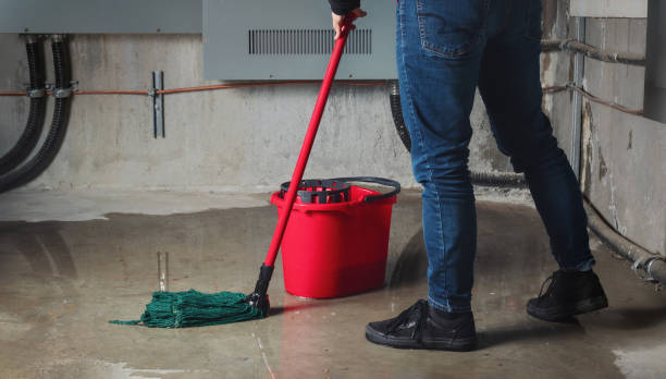 Water damage restoration mold remediation in Belleview, FL