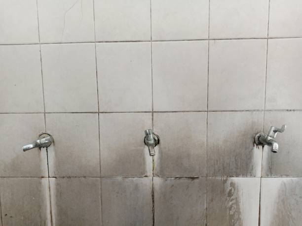 Best Water damage restoration insurance claims  in Belleview, FL