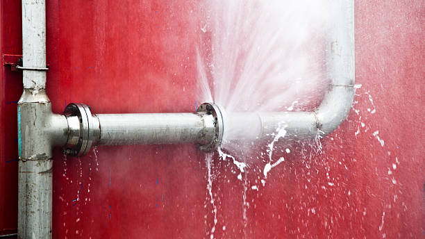 Best Carpet water damage restoration  in Belleview, FL